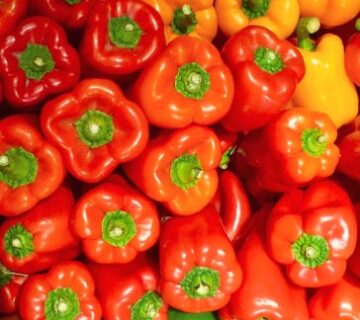 فلفل كاليفورنيا